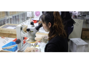 貼片共模電感方向如何區(qū)分你知道嗎？